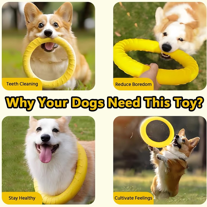 Dog Toys Pet Flying Discs EVA  - Suction Cup Dog Tug Toy recension och pris