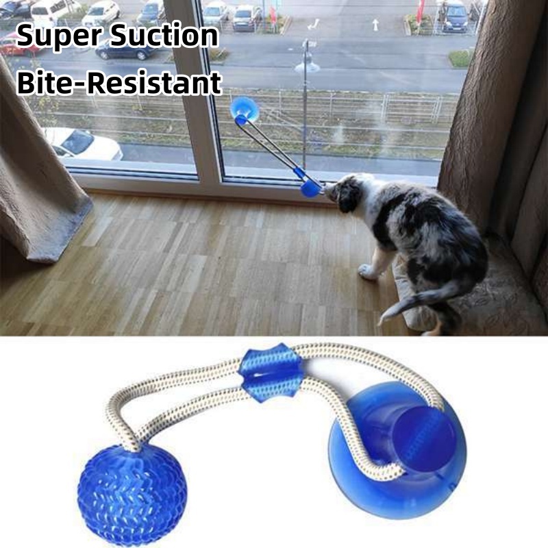 Durable Suction Cup Dog Tug To - Suction Cup Dog Tug Toy recension och pris