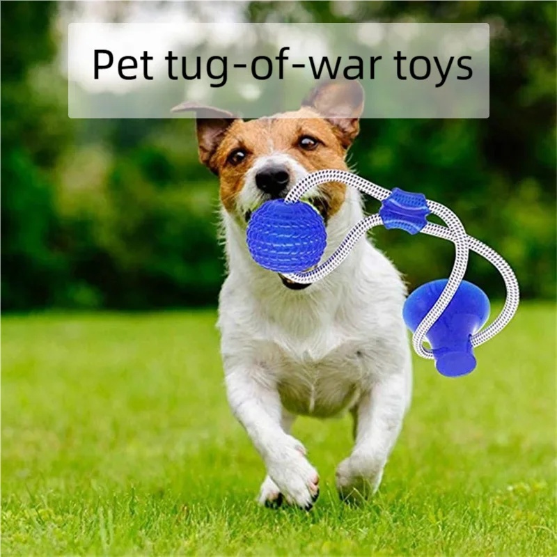 Durable Suction Cup Dog Tug To - Suction Cup Dog Tug Toy recension och pris