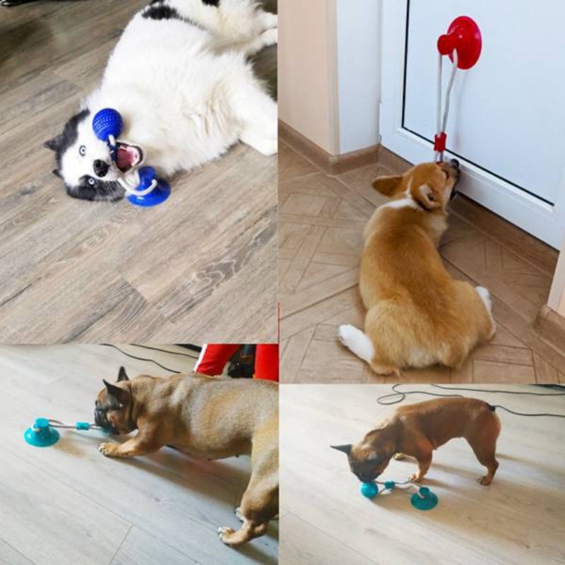 Durable Suction Cup Dog Tug To - Suction Cup Dog Tug Toy recension och pris