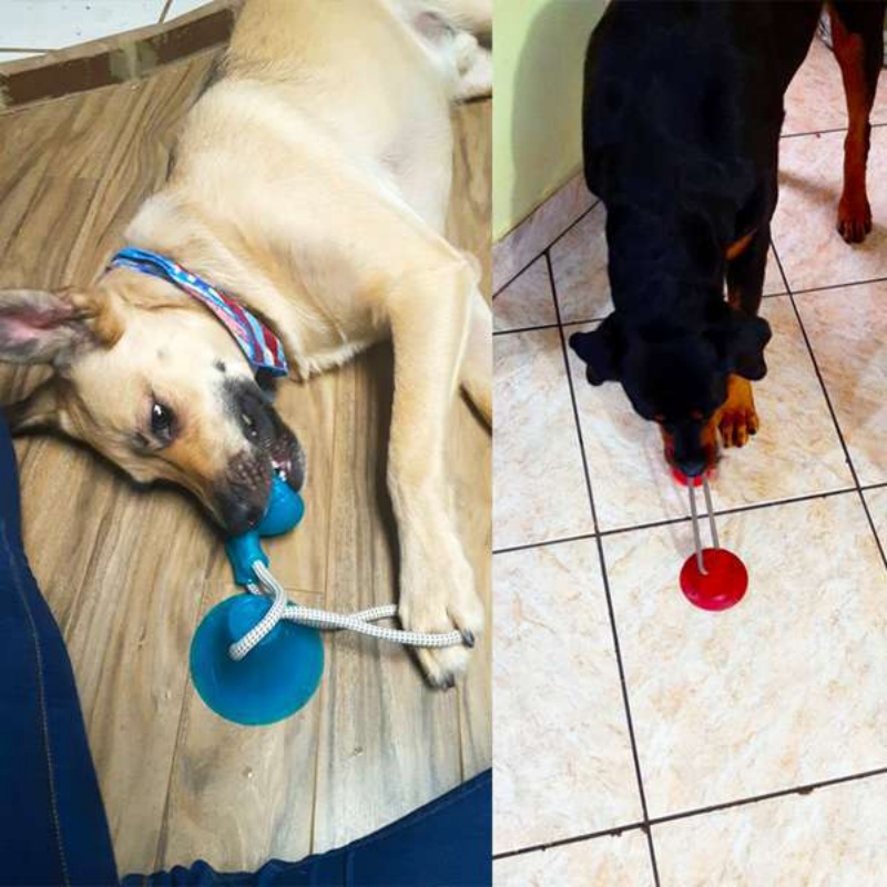 Durable Suction Cup Dog Tug To - Suction Cup Dog Tug Toy recension och pris
