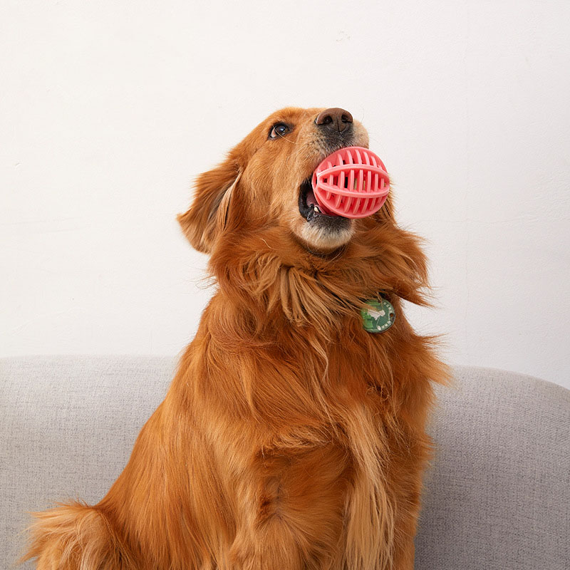 Durable Rubber Treat Dispensin - Rubber Treat Dispensing Dog Toy recension och pris