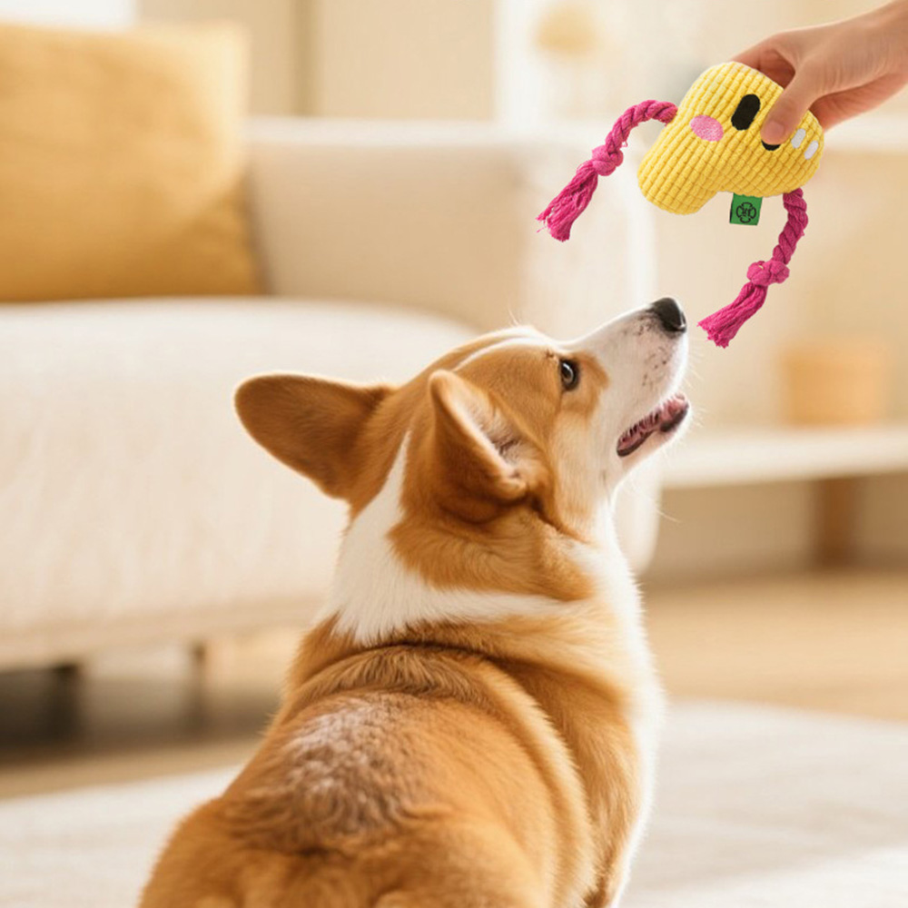 Dog Chew Toy - Durable Rope Kn - Dog Rope Toy Aggressive Chewers recension och pris