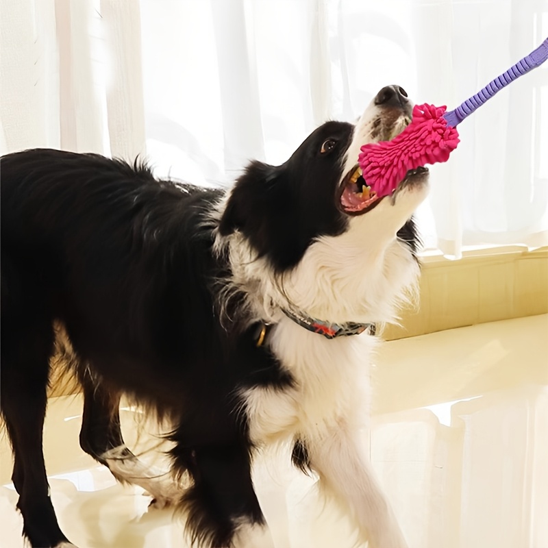 Durable Dog Toys for Aggressiv - Dog Rope Toy Aggressive Chewers recension och pris