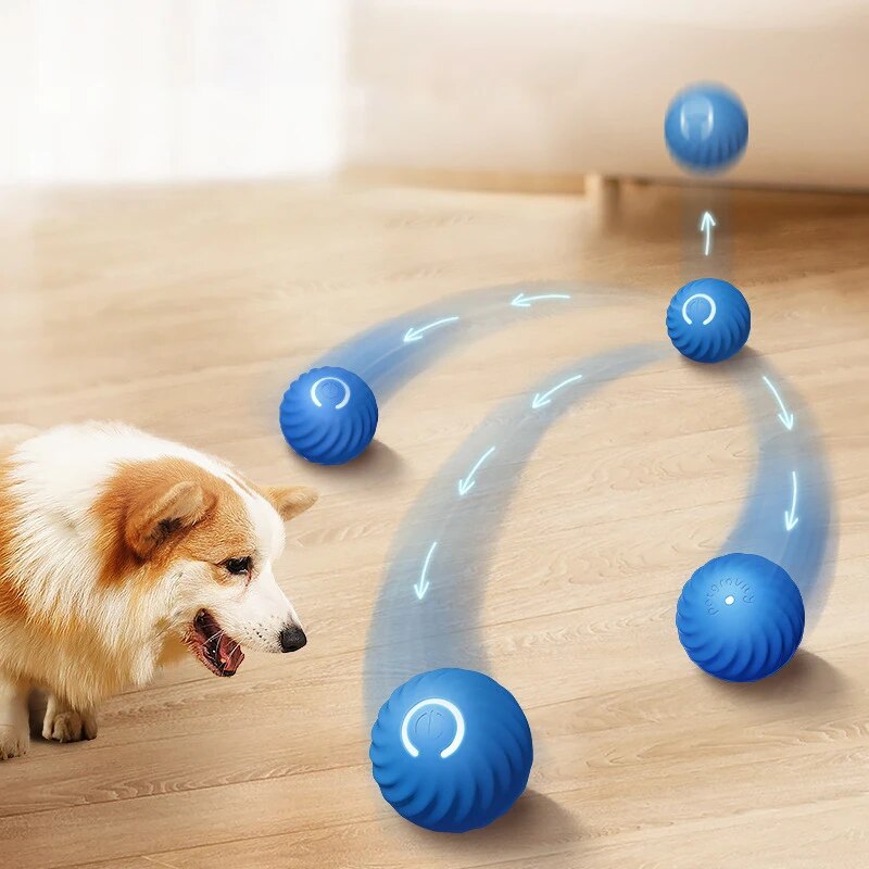 Dog Toys Intelligent Gravity J - Suction Cup Dog Tug Toy recension och pris