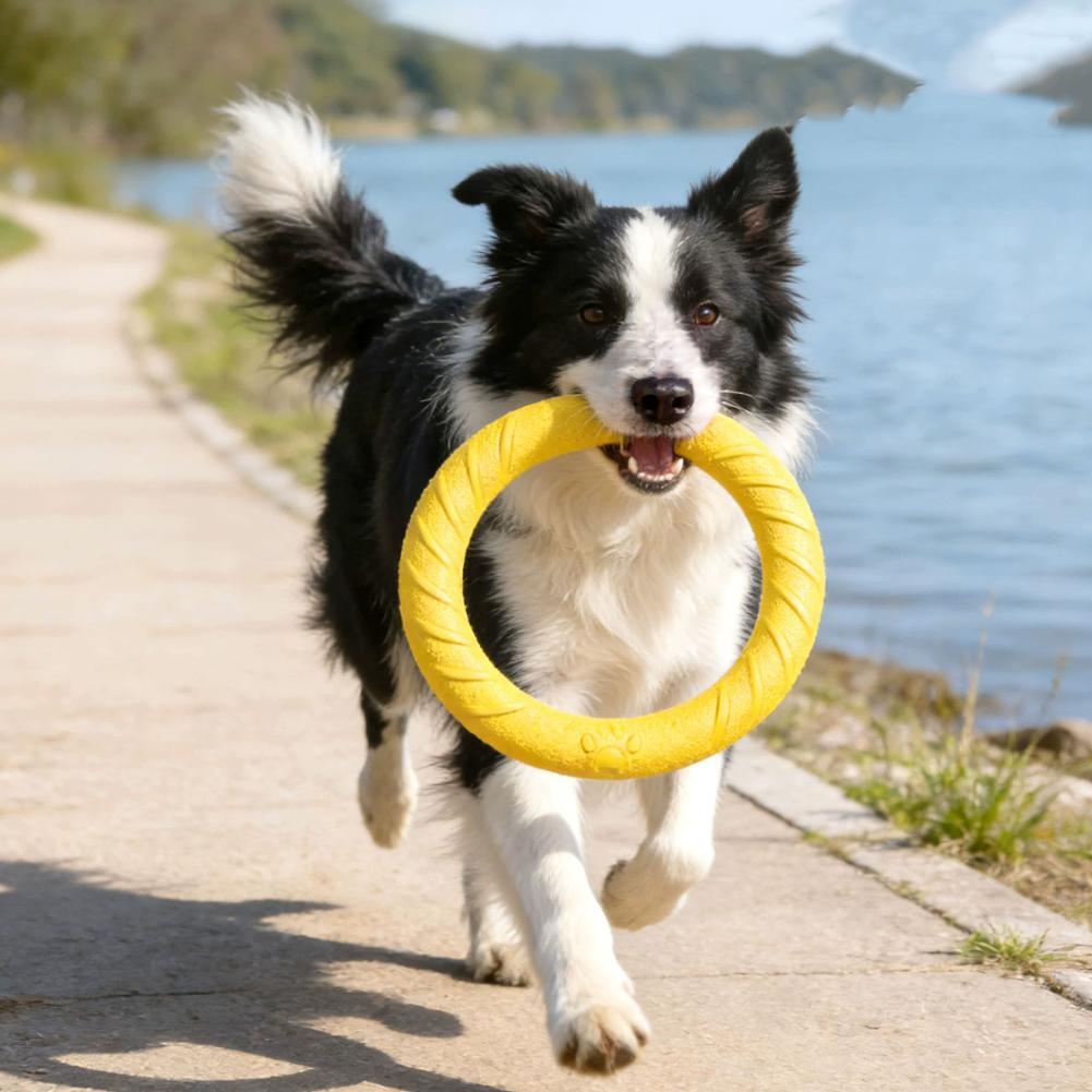Dog Ring Toys Indestructible C - Indestructible Dog Chew Toy recension och pris