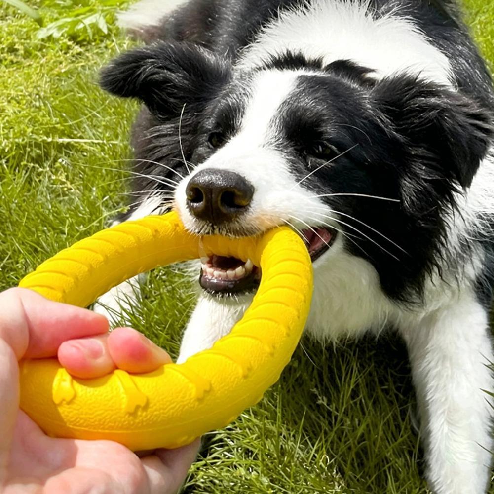 Dog Ring Toys Indestructible C - Indestructible Dog Chew Toy recension och pris