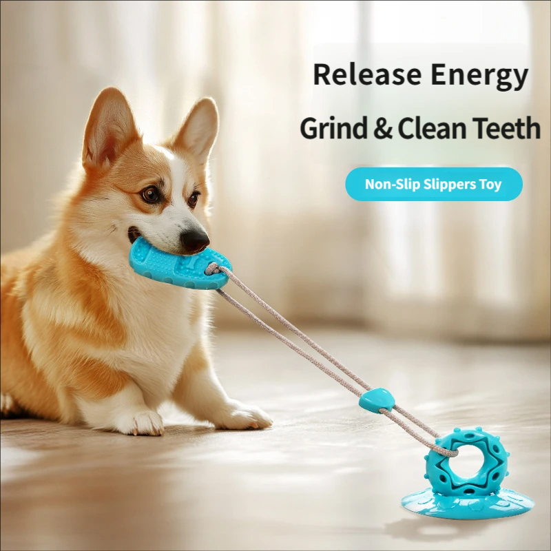 Suction Cup Dog Tug Toy Intera - Suction Cup Dog Tug Toy recension och pris