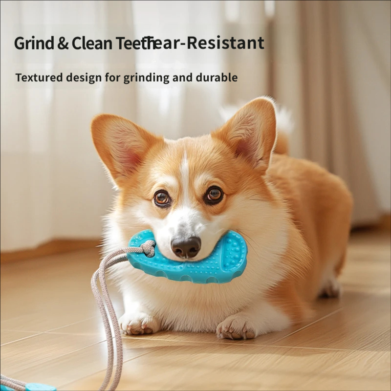 Suction Cup Dog Tug Toy Intera - Suction Cup Dog Tug Toy recension och pris