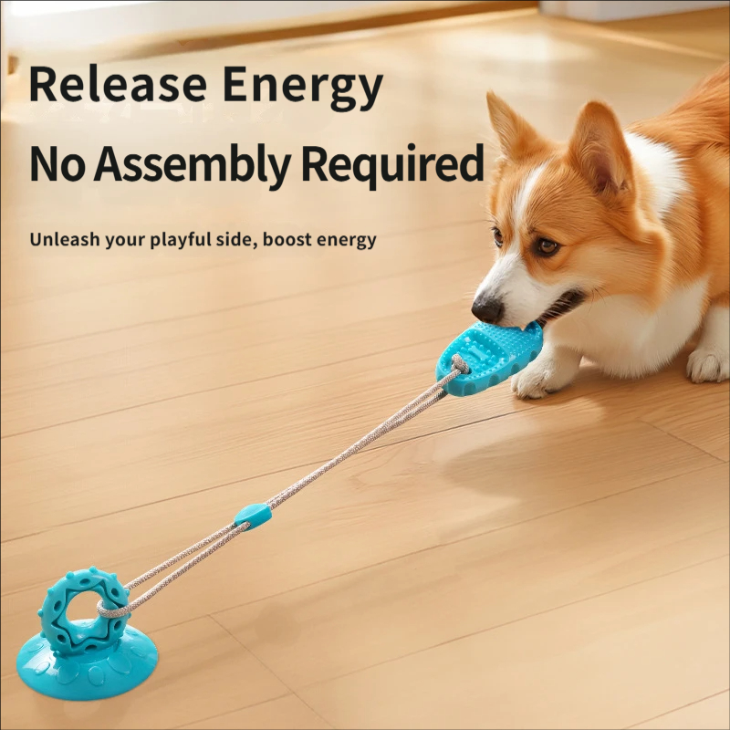 Suction Cup Dog Tug Toy Intera - Suction Cup Dog Tug Toy recension och pris
