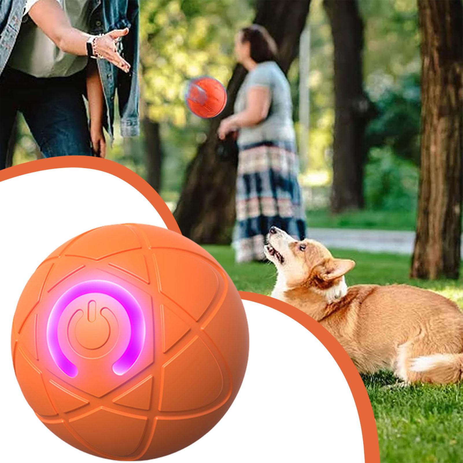 Dog Toy Ball Interactive Rolli - Automatic Moving Dog Ball recension och pris