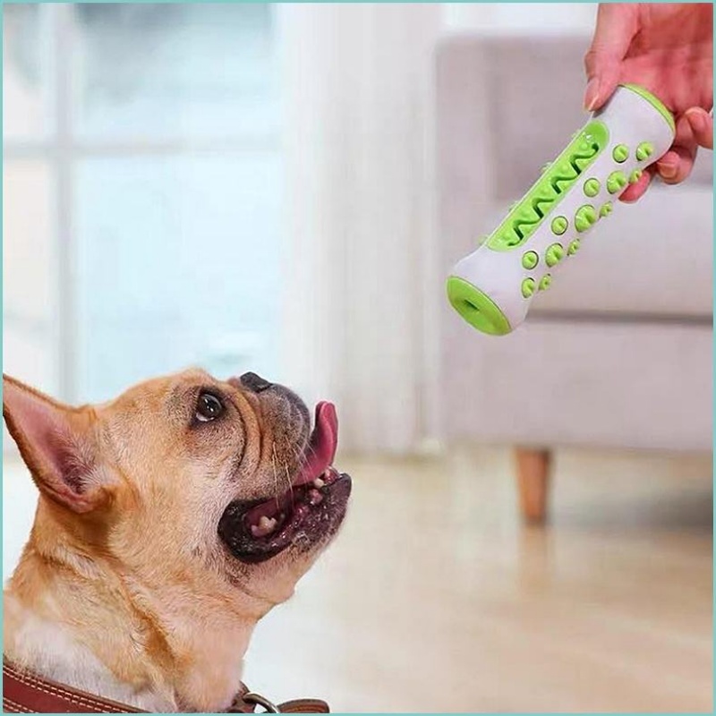 TPR Dog Molar Stick Chew Toy D - Teeth Cleaning Dog Chew Bone recension och pris