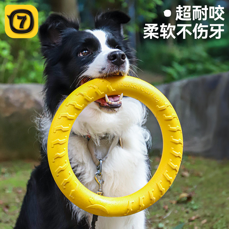 Dog Flying Disc Chewing Toy Tr - Flying Disc Dog Training Toy recension och pris