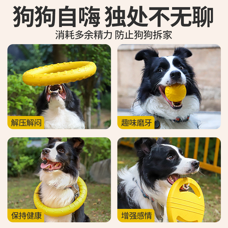 Dog Flying Disc Chewing Toy Tr - Flying Disc Dog Training Toy recension och pris