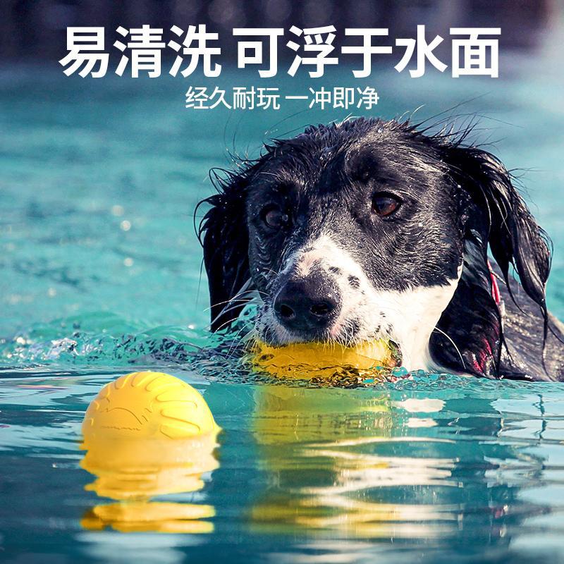 Dog Flying Disc Chewing Toy Tr - Flying Disc Dog Training Toy recension och pris