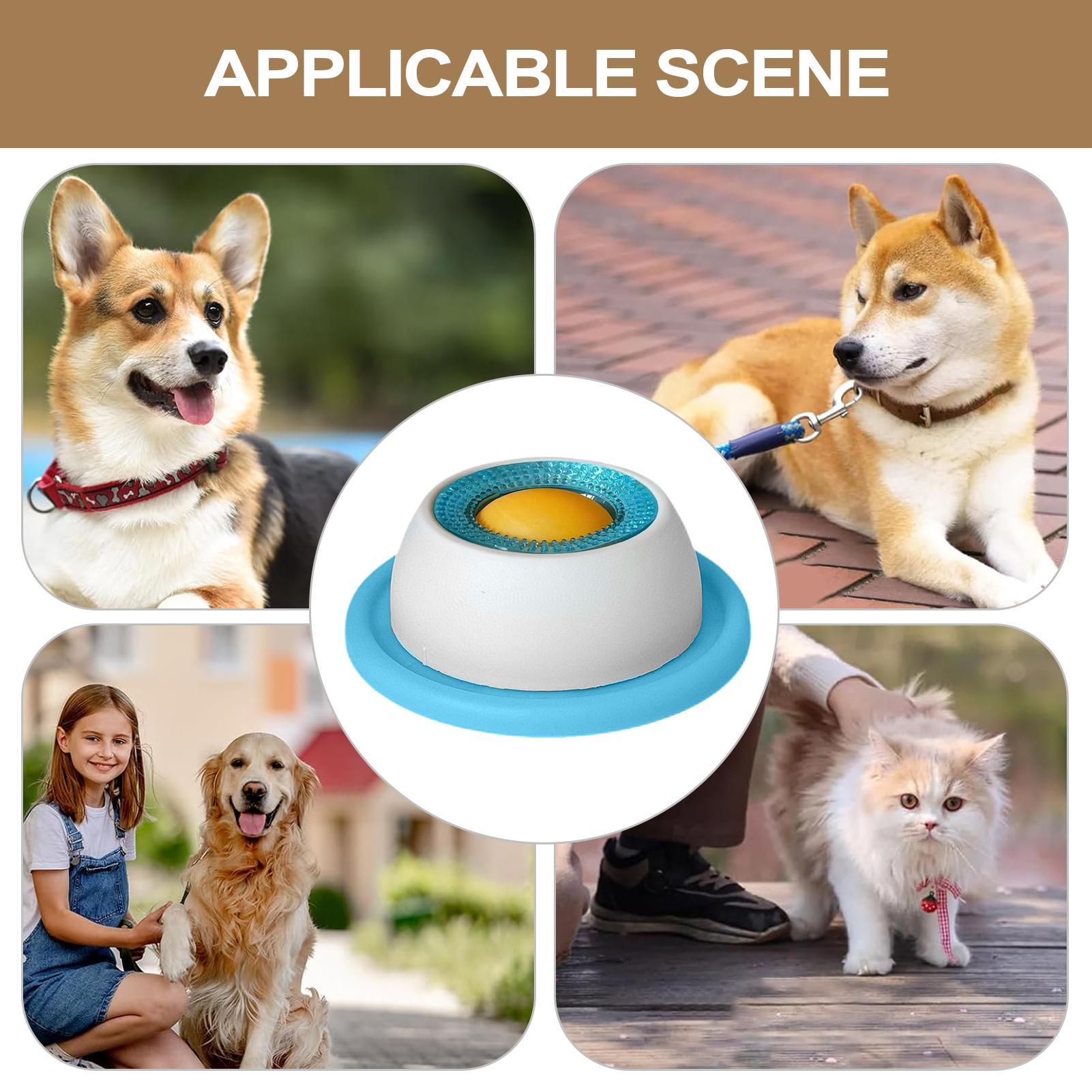Dog Treat Toy Pet Feeding Acce - Dog Puzzle Feeder Toy recension och pris