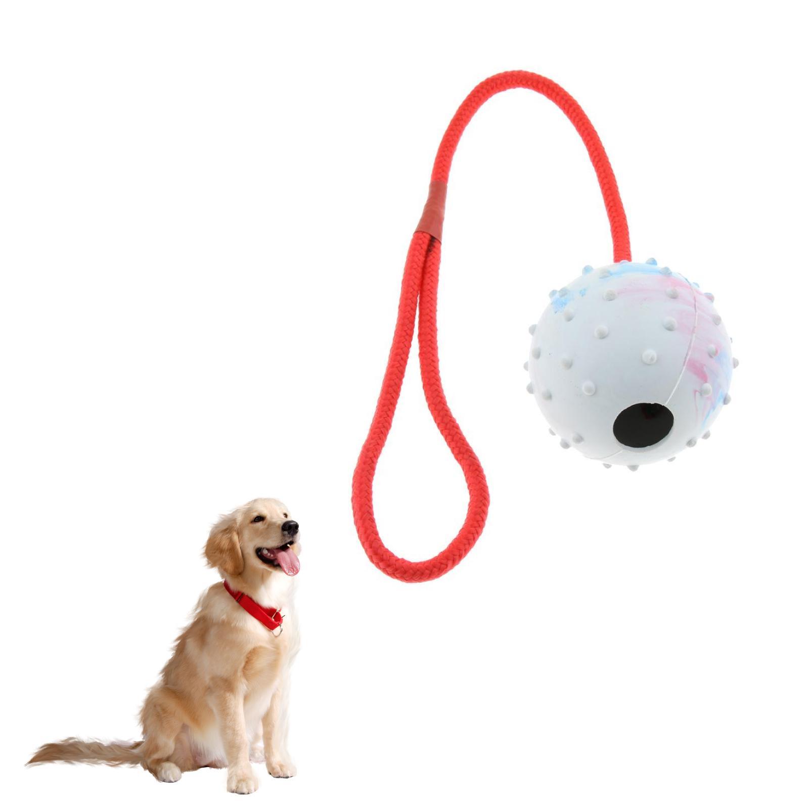 Pet Training Toy Soft Rubber C - Rubber Treat Dispensing Dog Toy recension och pris