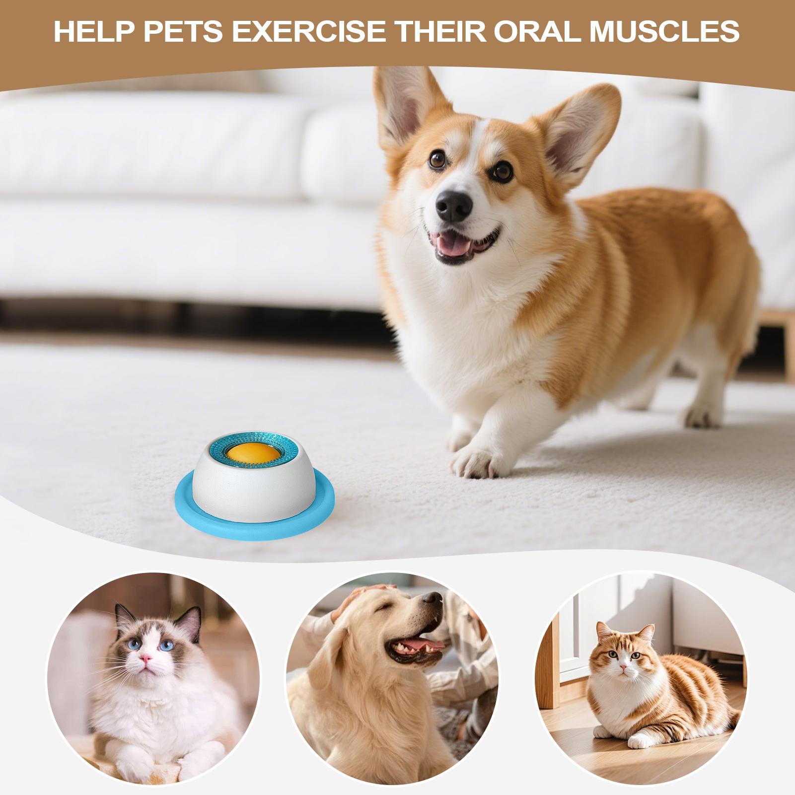 Pet Feeding Accessories Dog Tr - Dog Puzzle Feeder Toy recension och pris